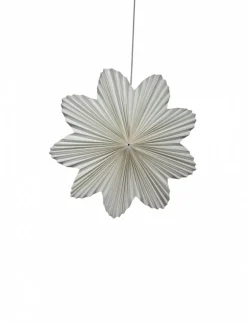 Adventsstjärna 'Daisy' 60cm - Vit