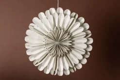 Adventsstjärna 'Mora' - Beige
