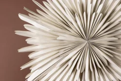 Adventsstjärna 'Svedala' 100cm - Beige