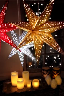 Julstjärna 'Antique' - Vit
