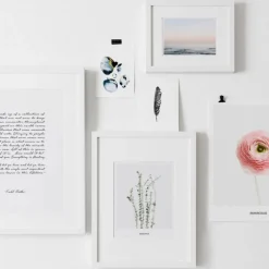Poster - 'Eucalyptus'